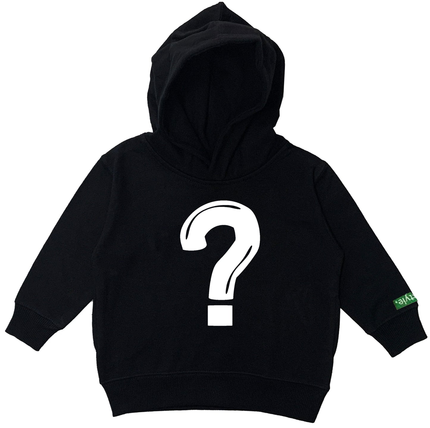 Mystery Toddlers Lyfestyle Hoodies